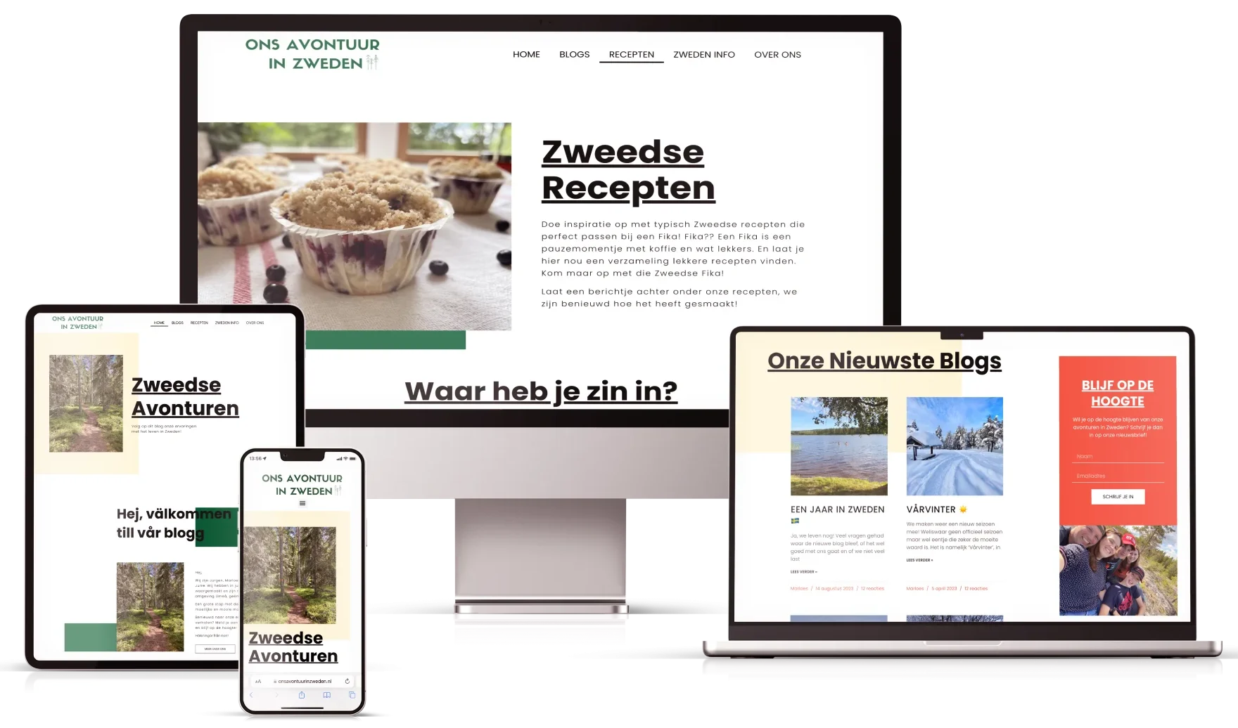 Voorbeelden van door MaFien gemaakte betaalbare website